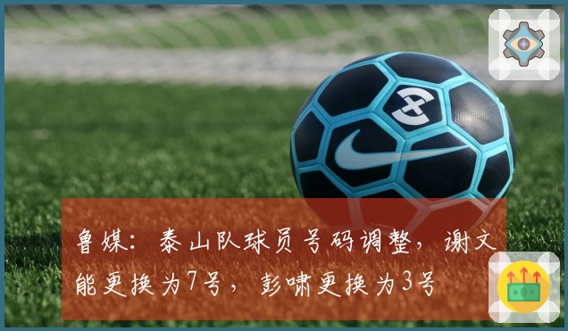鲁媒：泰山队球员号码调整，谢文能更换为7号，彭啸更换为3号