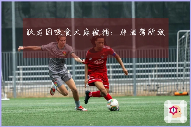狄龙因吸食大麻被捕，非酒驾所致