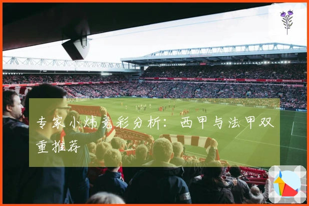 专家小炜竞彩分析：西甲与法甲双重推荐