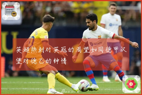 英超热刺对英冠的渴望如同德甲汉堡对德乙的钟情