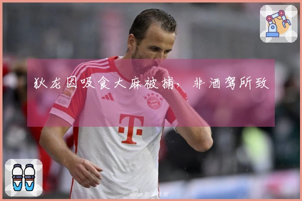 狄龙因吸食大麻被捕，非酒驾所致